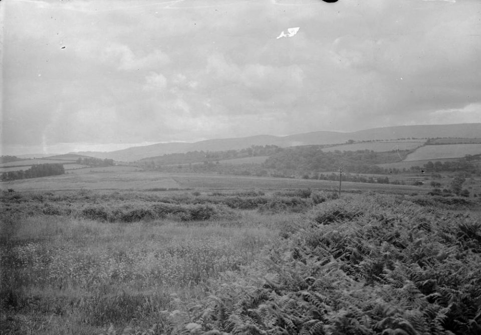 View of the countryside (1293755)