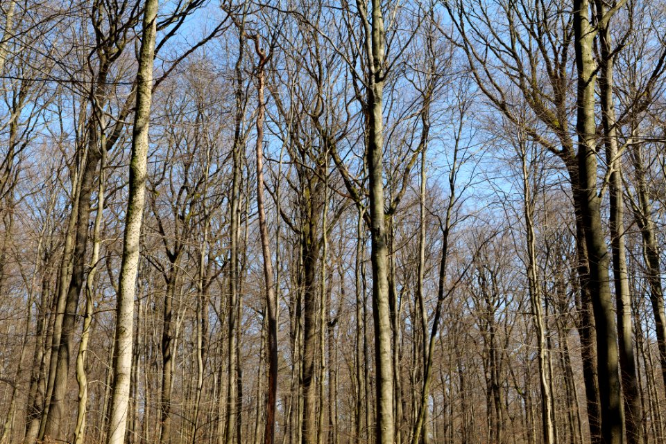 View from Haderweg Taunus 2020-03-25 06