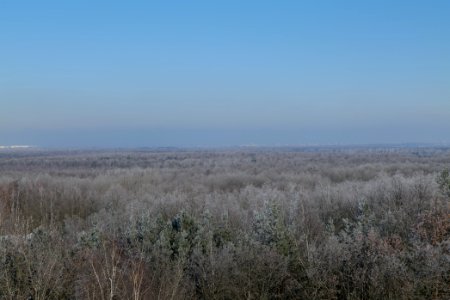 View from Finkenberg observation tower with snow 2021-02-14 14