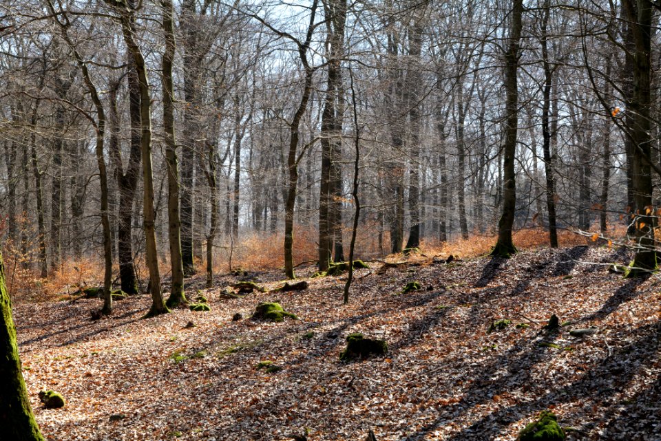 View from Haderweg Taunus 2020-03-25 31
