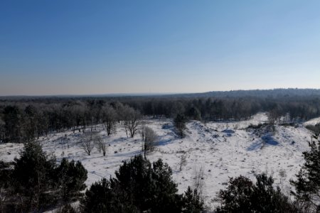 View from Finkenberg observation tower with snow 2021-02-14 11