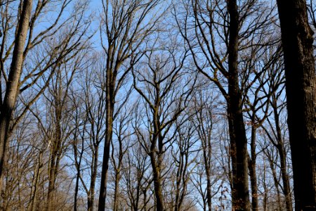 View from Haderweg Taunus 2020-03-25 04