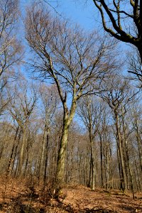 View from Haderweg Taunus 2020-03-25 09
