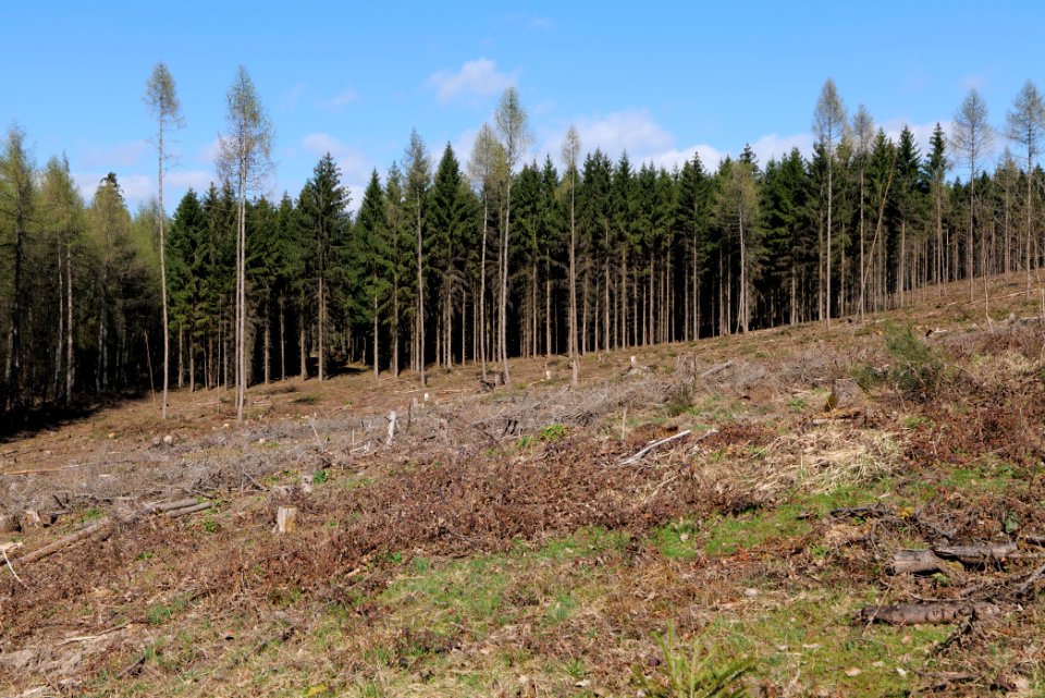 View from Limes trail Taunus Ockstadt 2021-04-02 07