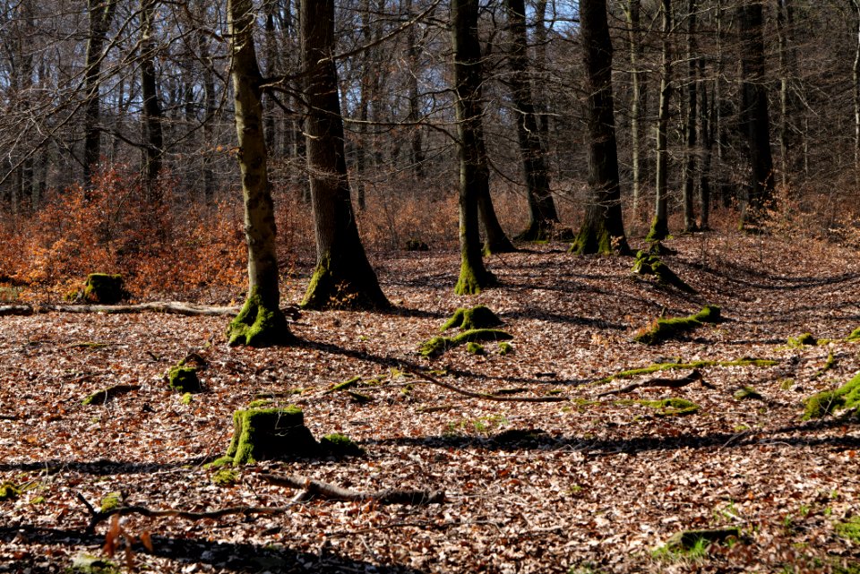 View from Haderweg Taunus 2020-03-25 29