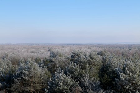 View from Finkenberg observation tower with snow 2021-02-14 12