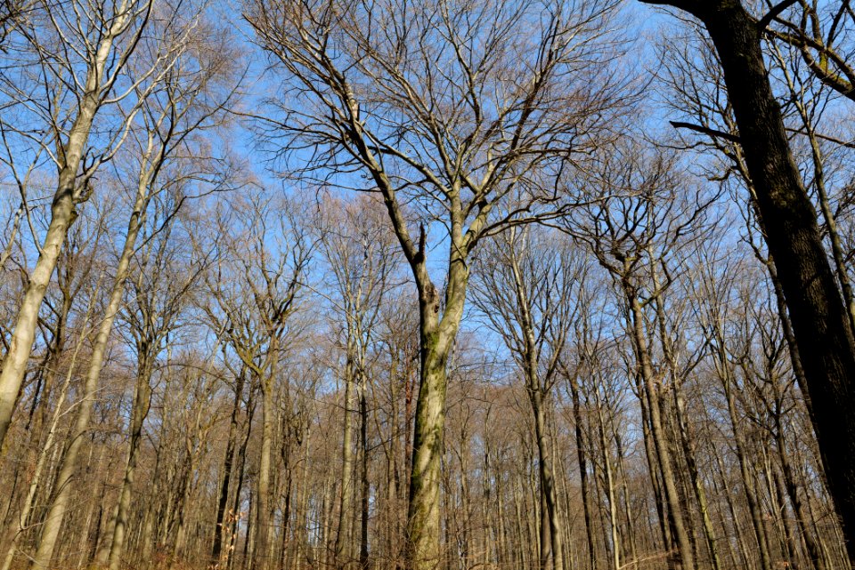 View from Haderweg Taunus 2020-03-25 07