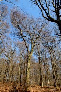 View from Haderweg Taunus 2020-03-25 10