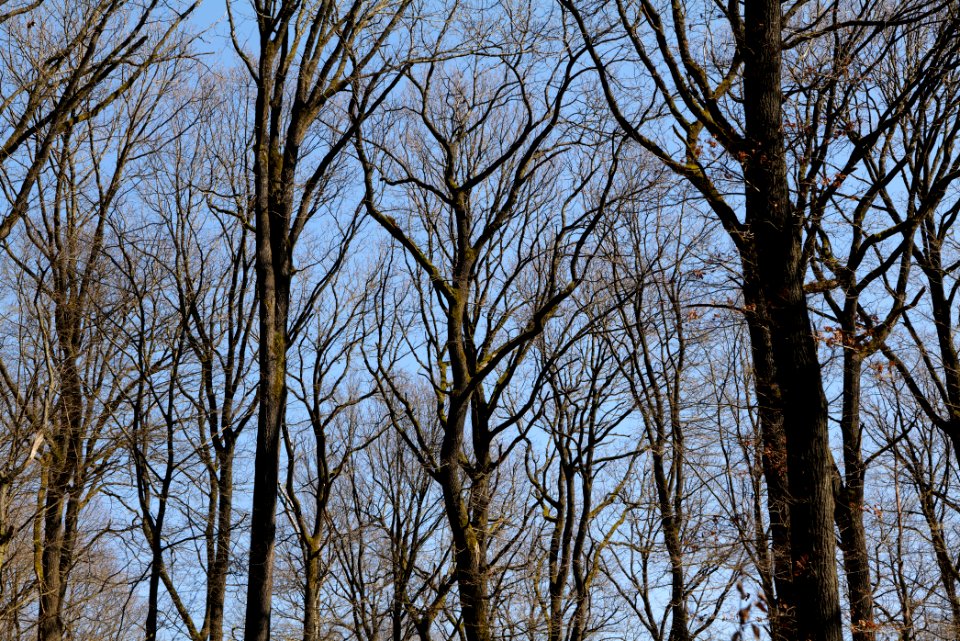 View from Haderweg Taunus 2020-03-25 03