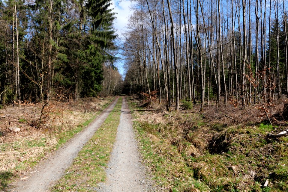 View from Limes trail Taunus Wehrheim 2021-04-02 09