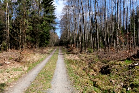 View from Limes trail Taunus Wehrheim 2021-04-02 09