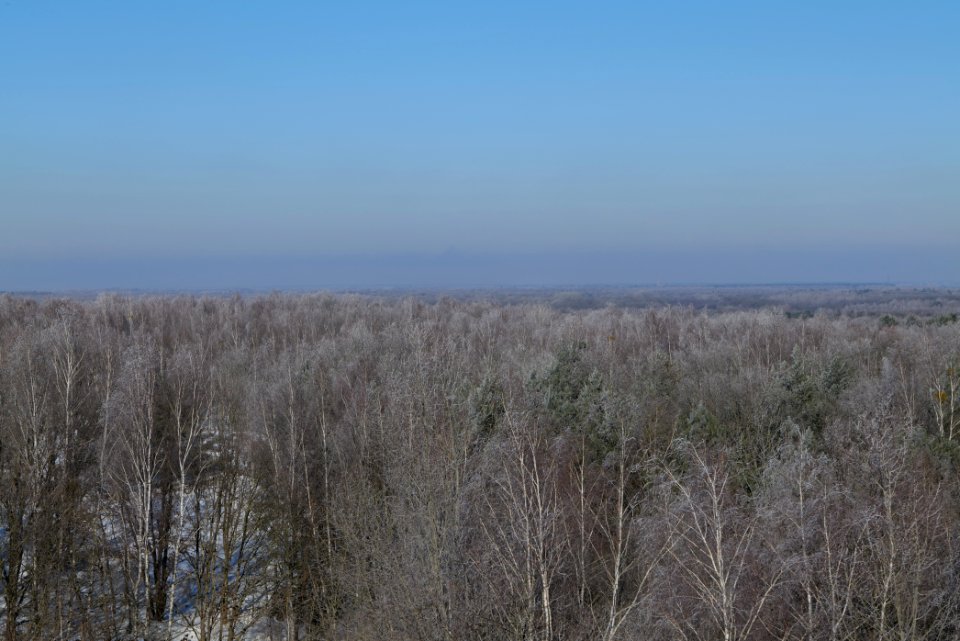 View from Finkenberg observation tower with snow 2021-02-14 02