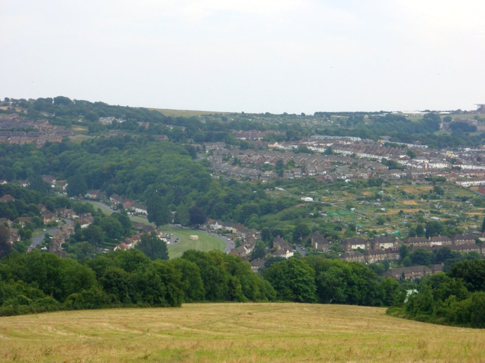 View from Hollingbury Hill, Brighton (August 2013) (23)
