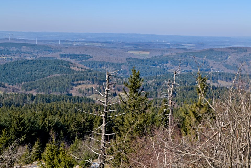 View from Großer Feldberg 2020-03-23 pixel shift 03 photo