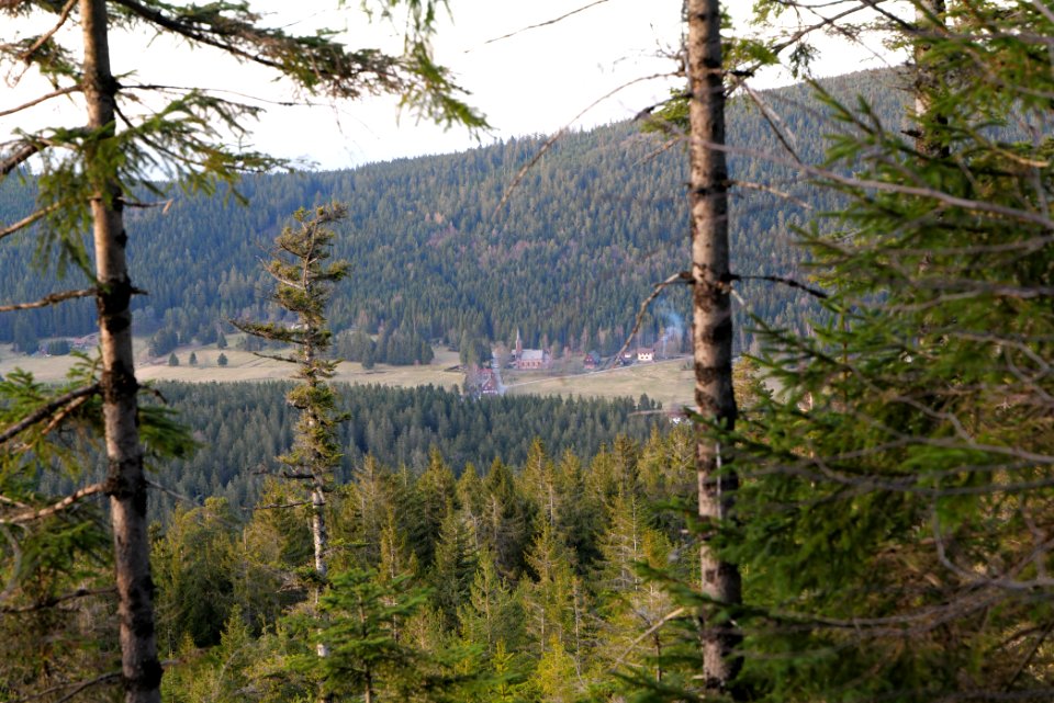 View from Hoher Ochsenkopf 2020-03-15 06
