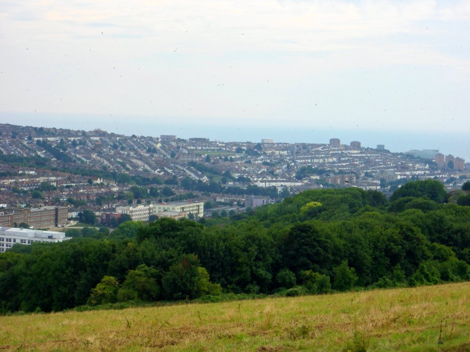 View from Hollingbury Hill, Brighton (August 2013) (22)