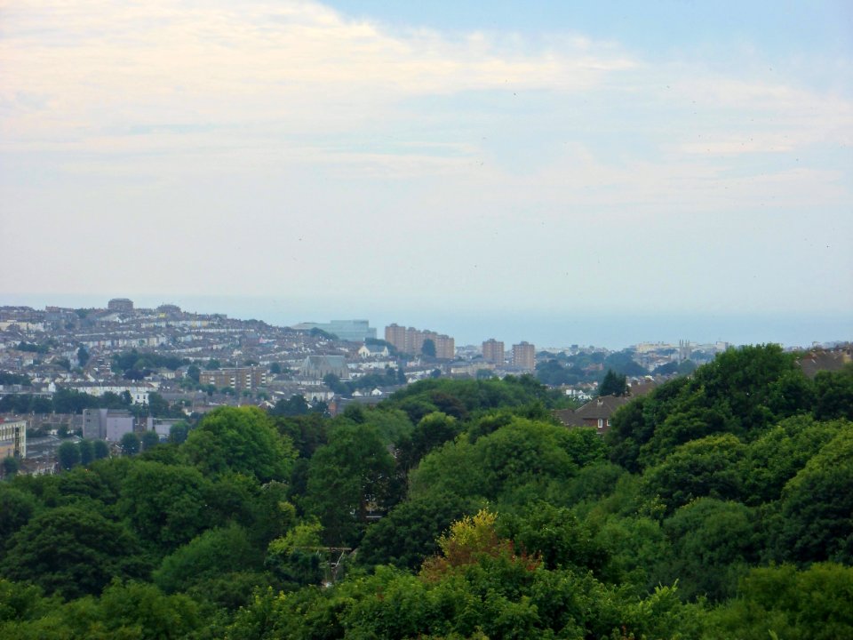 View from Hollingbury Hill, Brighton (August 2013) (13)