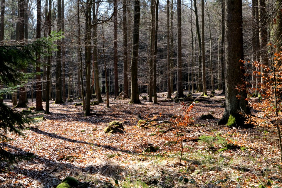 View from Haderweg Taunus 2020-03-25 33