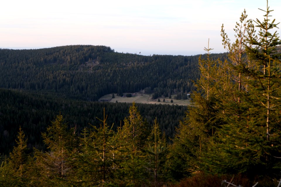 View from Hoher Ochsenkopf 2020-03-15 09
