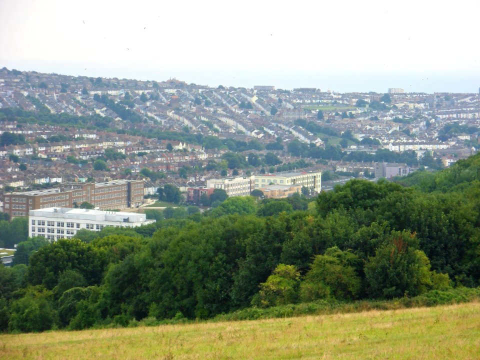 View from Hollingbury Hill, Brighton (August 2013) (18)