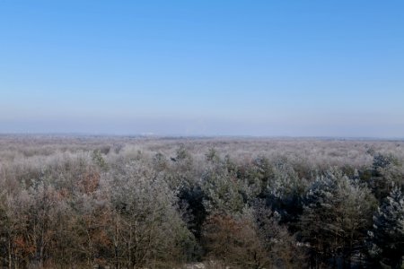 View from Finkenberg observation tower with snow 2021-02-14 15