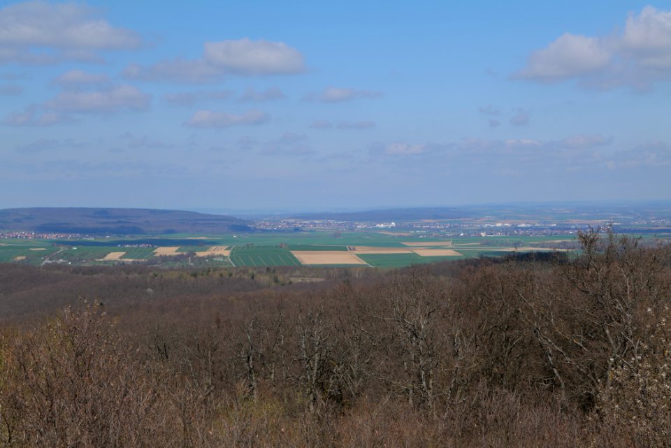 View from Gaulskopf tower Taunus 2021-04-02 05