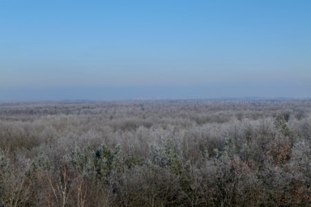 View from Finkenberg observation tower with snow 2021-02-14 01