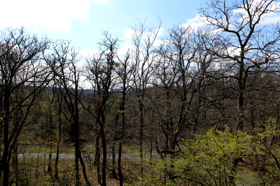 View from Gaulskopf tower Taunus 2021-04-02 13