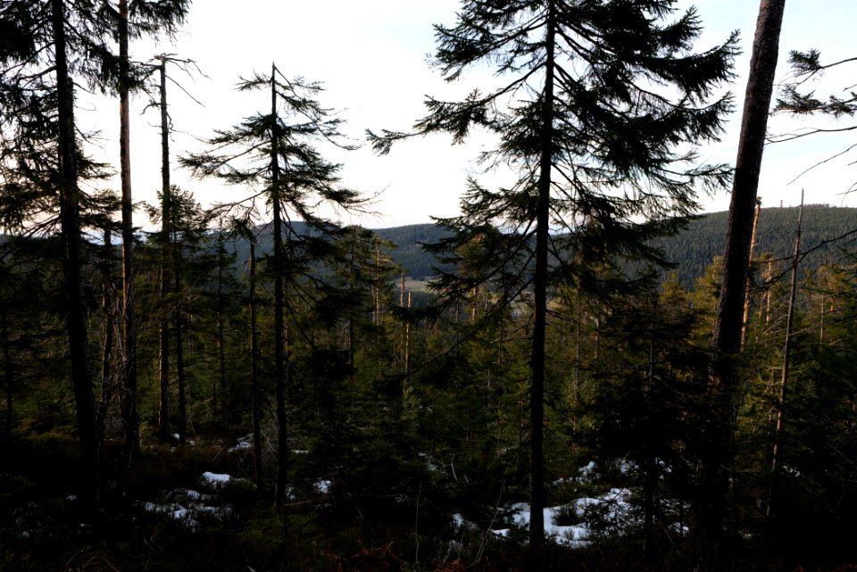 View from Hoher Ochsenkopf 2020-03-15 03
