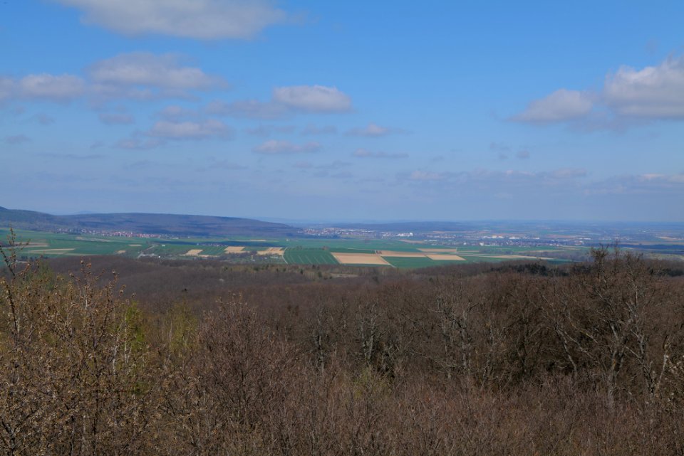View from Gaulskopf tower Taunus 2021-04-02 09