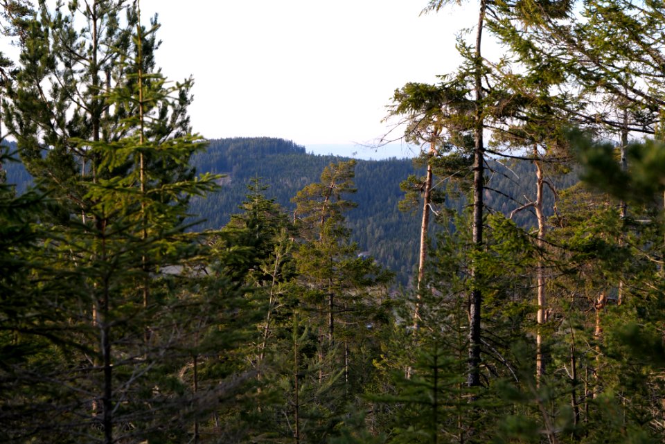 View from Hoher Ochsenkopf 2020-03-15 02