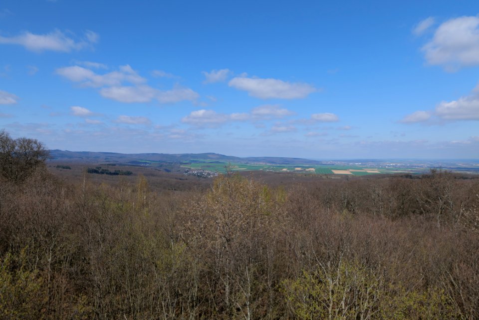 View from Gaulskopf tower Taunus 2021-04-02 10