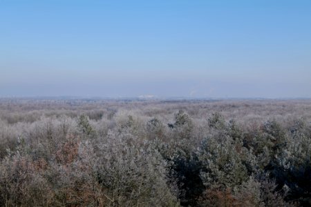 View from Finkenberg observation tower with snow 2021-02-14 13
