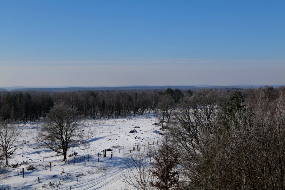 View from Finkenberg observation tower with snow 2021-02-14 05