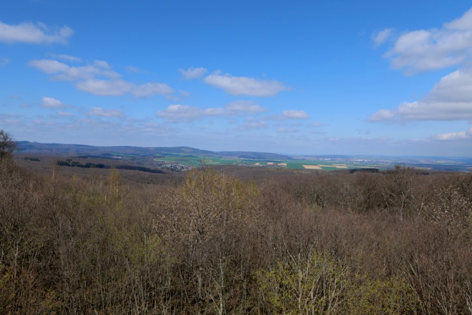 View from Gaulskopf tower Taunus 2021-04-02 06