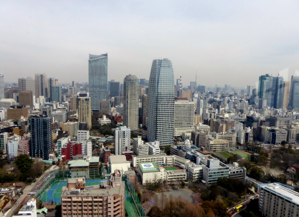 View seen from Tokyo Tower