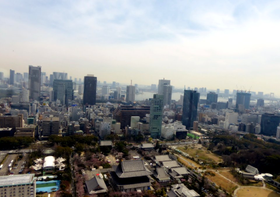 View seen from Tokyo Tower (2)