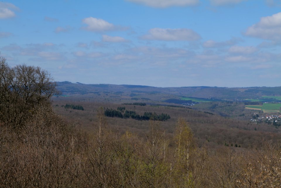 View from Gaulskopf tower Taunus 2021-04-02 12