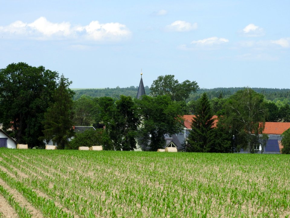 View Plothen