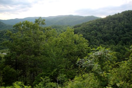 View Raven Fork, NC May 2017