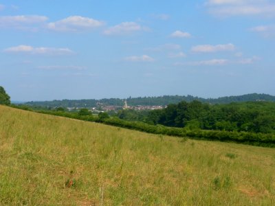 View towards Dorking from North Downs Way National Trail near Ranmore Common (July 2013) (5)