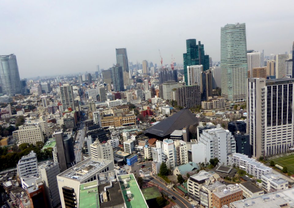 View seen from Tokyo Tower (1)
