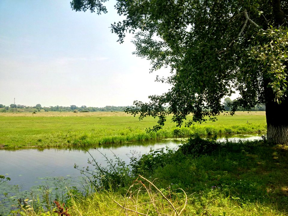 View of Trubizh River near field in Pereiaslav-Khmelnytskyi