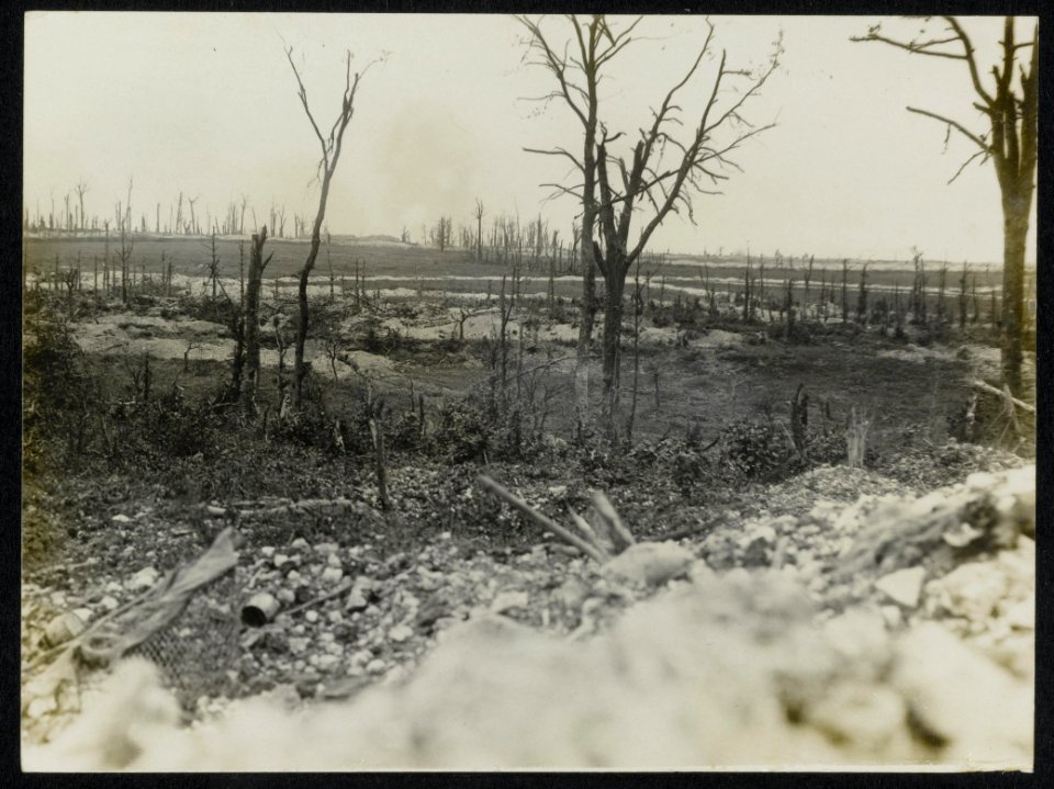 View of Thiepval, Bestanddeelnr 158-0178