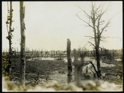 View of Thiepval, or all that is left of it, Bestanddeelnr 158-0173