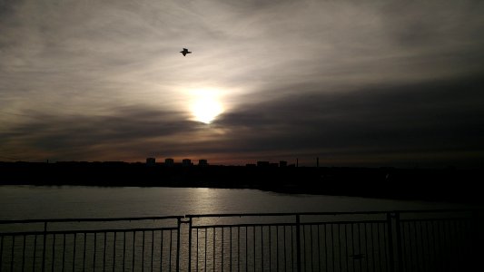 View of Tallin from ship deck