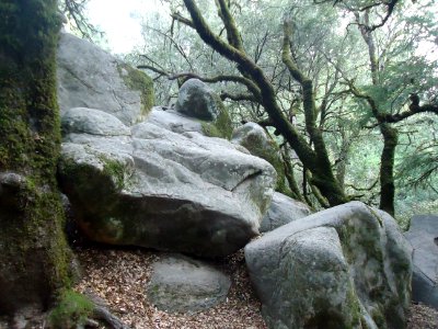 View of rocks and trees at Castle Rock State Park in California photo