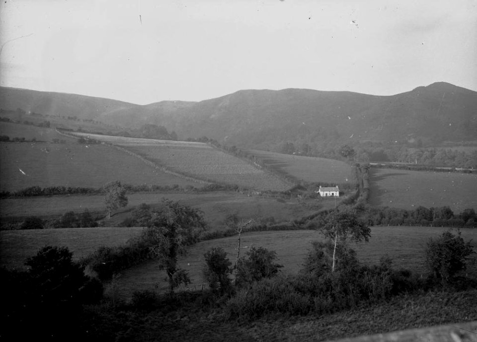 View of Rhiwolau, Llanafan Fawr near Builth Wells (1293931)