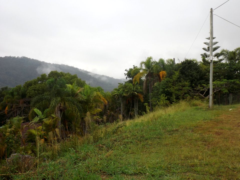 View south from Lowry Court, Neranwood, Queensland