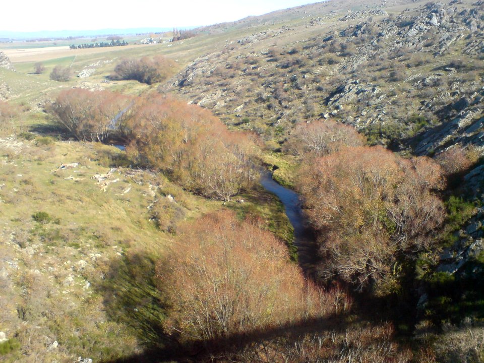 View Southwest From Poolburn Viaduct